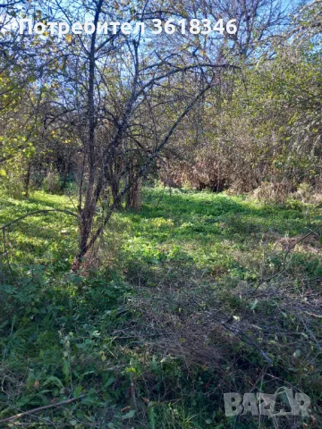 Продава къща, с.Трекляно, област Кюстендил , снимка 12 - Къщи - 47713700