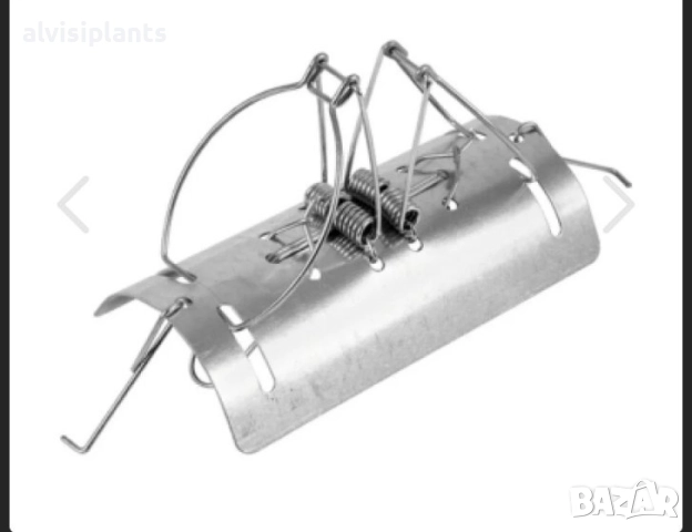 Капан за къртици и спяпо куче