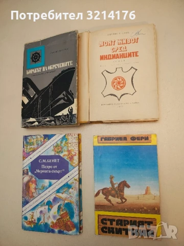 Старият скитник - Габриел Фери