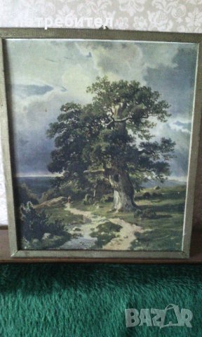 Картина Деревья - Ленинград - 1966 г. Иван Шишкин, снимка 2 - Картини - 33349397