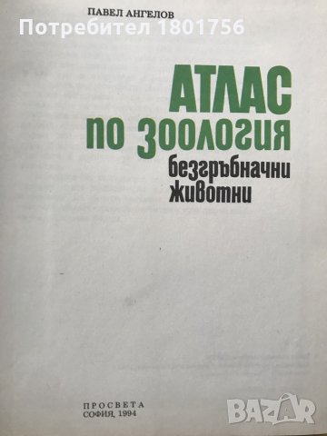 Атлас по зоология Безгръбначни животни - Павел Ангелов, снимка 3 - Енциклопедии, справочници - 28699631