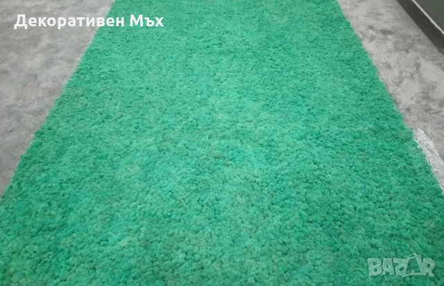 Интериорно озеленяване с естествен скандинавски мъх, снимка 6 - Други услуги - 29013958