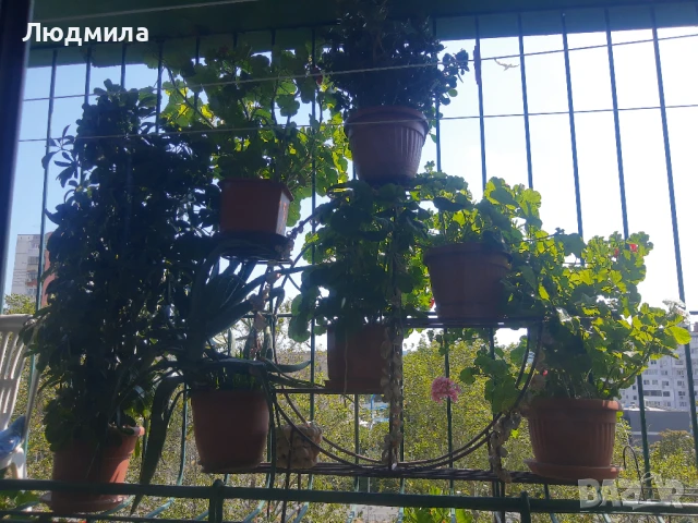 Цветарник,ковано желязо на няколко нива,грундиран и боядисан 