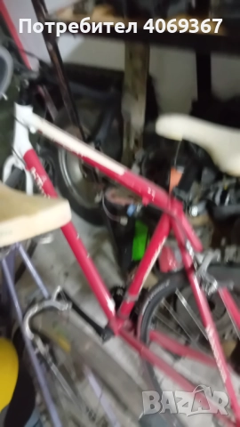 Бегач марков