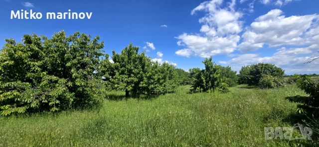 Продава се , снимка 11 - Земеделска земя - 52515931