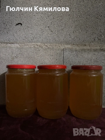 Пчелен мед 2025г.