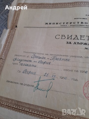 Свидетелство за Държавен изпит 1950, снимка 3 - Други ценни предмети - 44082517