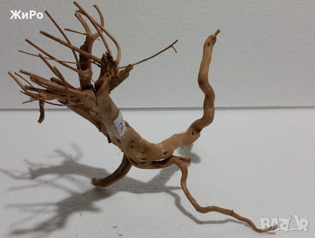 Корен от Азалия /декорация/ 25, снимка 2 - Други - 53396788