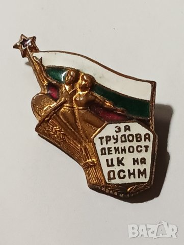 Стара значка, емайл. , снимка 3 - Колекции - 43732860