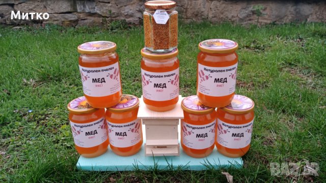 Пчелен прашец билков - реколта 2025, снимка 8 - Пчелни продукти - 14722628