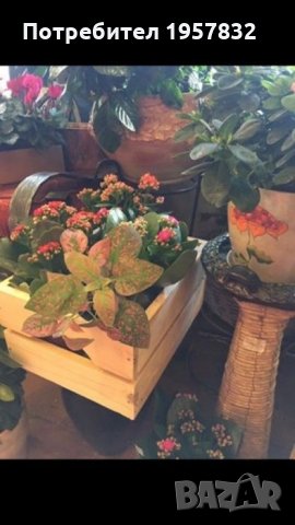 Малка декоративна дървена щайга ръчна изработка, снимка 6 - Дърводелски услуги - 26227694