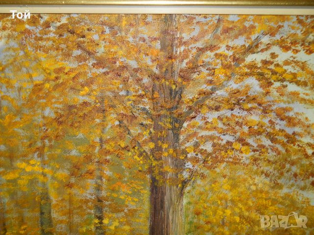 Продавам две картини, снимка 6 - Картини - 23036939