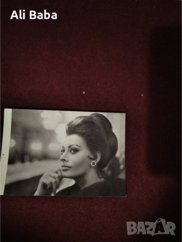 Картичка/снимка италианската актриса София Лорен