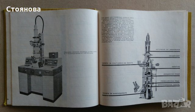 Книги по биология "Тайните на клетката" и "От яйцето до възрастния организъм", снимка 10 - Специализирана литература - 28034925