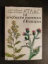 Атлас на лечебните растения в България Алекси А. Митрев Светла М. Попова, снимка 1