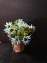 Изкуствени цветя в метална кашпа, снимка 1