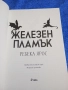 Ребека Ярос - Железен камък , снимка 4