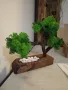 Бонсай от Скандинавски мъх , снимка 9