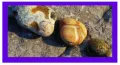 Пъзел "Natural impressions in sand" Ravensburger 3x500 части, снимка 5
