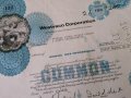 Сертификат за 100 акции | West Virginia Pulp and Paper | 1976г., снимка 3