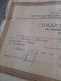 Свидетелство за Държавен изпит 1950, снимка 3