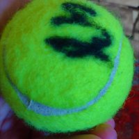 Тенис топка Roland Garros с автограф на Гришо, снимка 7 - Други ценни предмети - 38404007