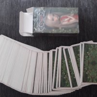 78 таро карти: Nicoletta Ceccoli Tarot & The Little Prince Tarot , снимка 10 - Карти за игра - 33677847