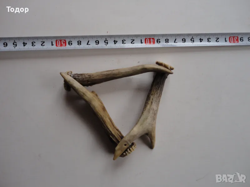 Рог рога 1, снимка 1