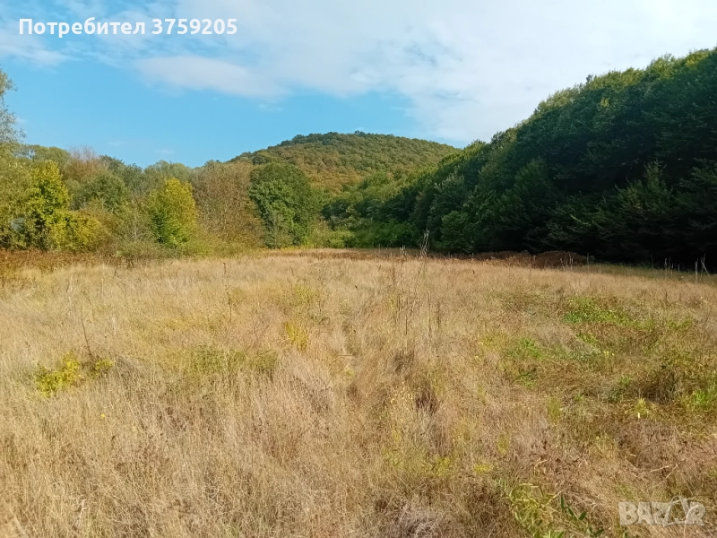 Продавам горска нива 15 дка., снимка 1