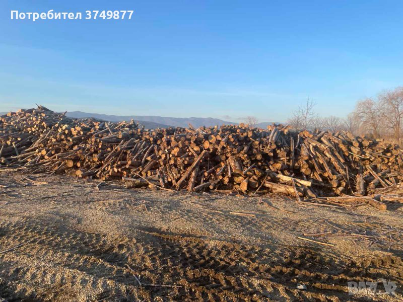 Продавам дърва за огрев от тополова дървесина, снимка 1