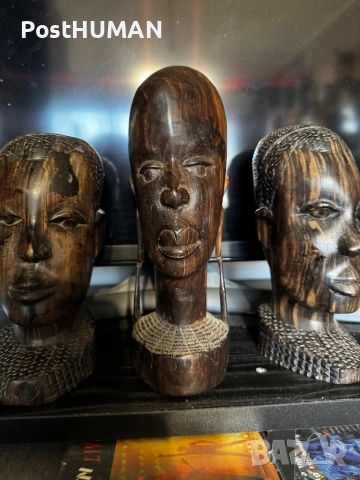 Африкански бюст -Глави - Африка, снимка 14 - Колекции - 52421300