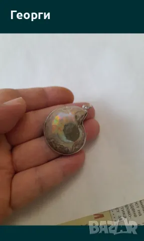 Натурален амунит в обков, снимка 2 - Антикварни и старинни предмети - 50138550