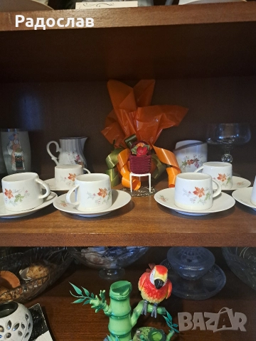 Нови витринни чаши