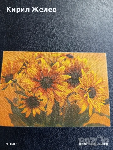 Старо календарче 90г. серия цветя много красиво за КОЛЕКЦИЯ ДЕКОРАЦИЯ 12072