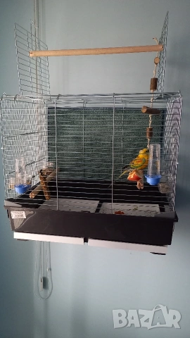ПРОДАВАМ ПОЕН ПАПАГАЛ И ИТАЛИАНСКА КЛЕТКА., снимка 2 - Папагали - 53463766