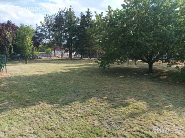 Предлагаме косене, отстраняване и кастрене на дървета, оформяне на храсти и други градинарски услуги, снимка 7 - Други почистващи услуги - 53608621