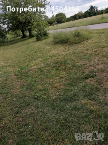 Продавам Дворно място в с Долно Церовене обл Монтана , снимка 4 - Къщи - 52482528