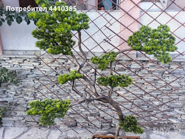 ръчно изработен бонсай Японски стил(уникат) , снимка 4 - Декорация за дома - 52833000