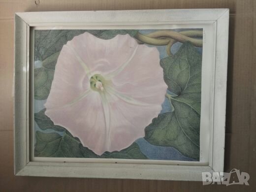 Продавам картини, снимка 9 - Картини - 26542780