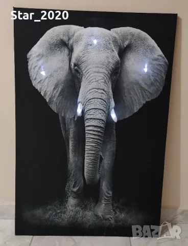 Светеща картина с Led осветление - слон, снимка 2 - Картини - 48325631