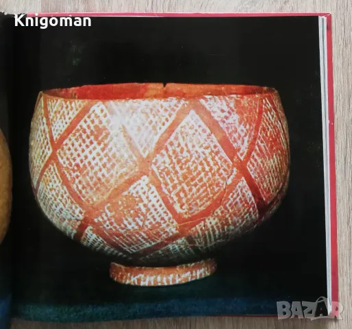 Градешница, Богдан Николов, снимка 4 - Специализирана литература - 49766252