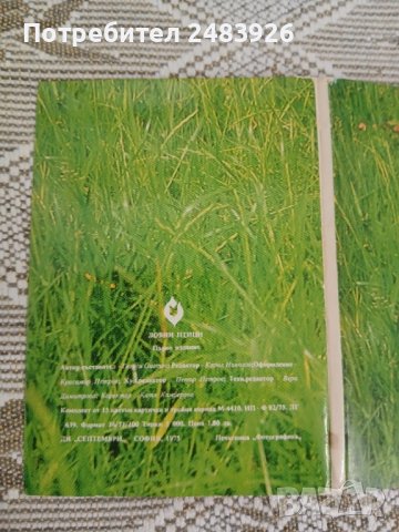 Ловни птици   Георги  Оцетов, снимка 4 - Други - 51148280