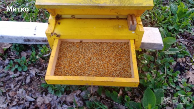 Пчелен прашец билков - реколта 2024, снимка 14 - Пчелни продукти - 14722628