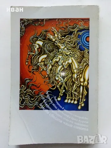 Тихи вълшебства - Дела Рай - 2004г., снимка 6 - Художествена литература - 49260967