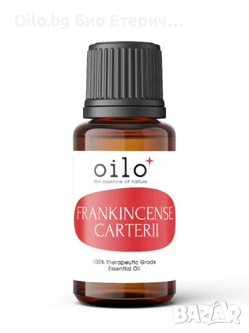 Oilo БИО Етерично Масло от Картерия с тамян - Frankincense Carterii Oilo 5 мл.