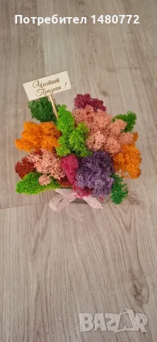 Стъклени кашпи със скандинавски мъх , снимка 12 - Декорация за дома - 48169993