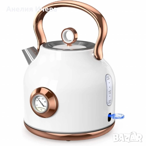 Електрически чайник Nessgraim с термометър 