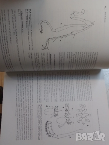 Тропическо море-Tropical Deep Sea Benthos, снимка 5 - Енциклопедии, справочници - 51756943