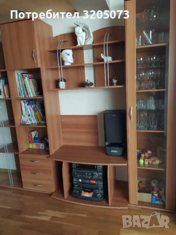 Холова секция