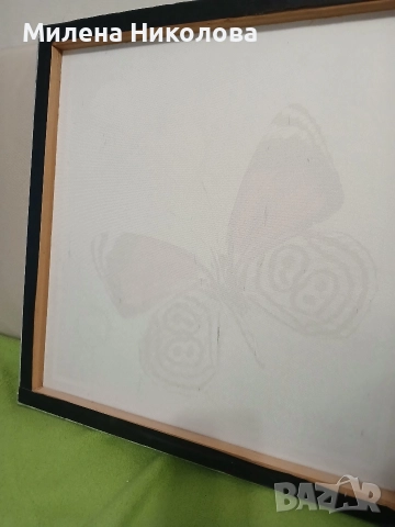 Картина пеперуда 50/50, снимка 3 - Картини - 52914844